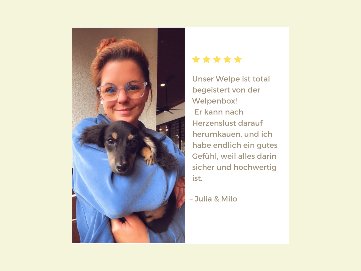 Welpen Box