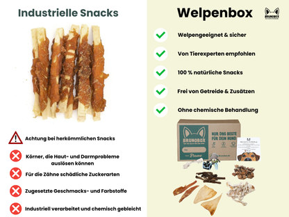 Welpen Box